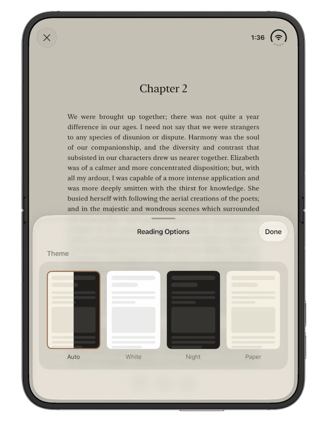 Reading Options with Auto, White, Night, and Paper themes